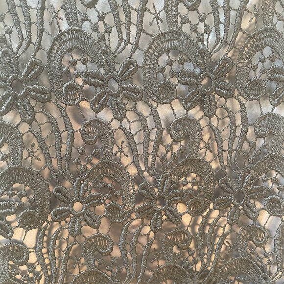 Ann Taylor Skirt Size 0, Lace Over Silver Lining - Picture 4 of 7